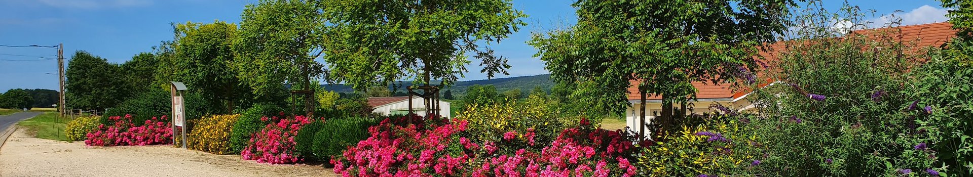 Côté Déco Jardin Paysagiste