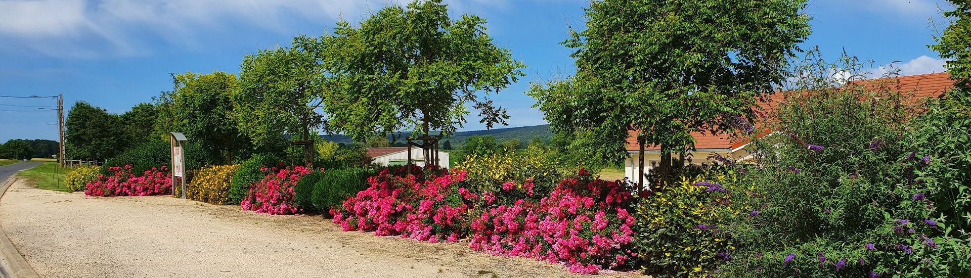 Côté Déco Jardin Paysagiste